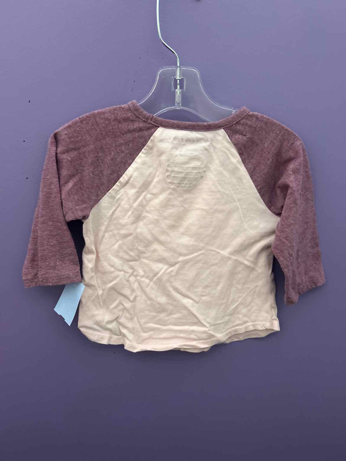 Calvin Klein (B) Purple Toddler Size 4 LSTop