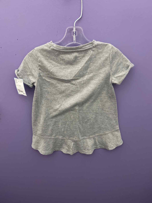 Nike (B) Gray Toddler Size 4 SSTop