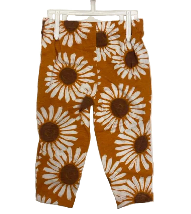 Carters (C) Brown Orange Infant Size 9 MO 2PC Casual