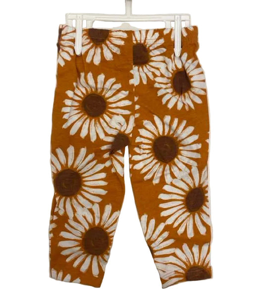 Carters (C) Brown Orange Infant Size 9 MO 2PC Casual