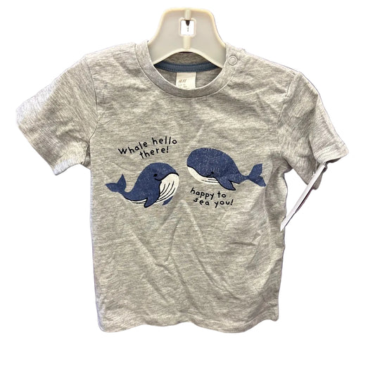 H & M (D) Gray Infant Size 18 MO Short Sleeve Top
