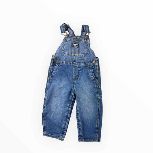 OshKosh BGosh Blue Infant Size 18 MO Overall Pant