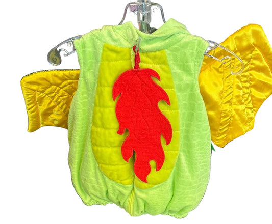 Dragon Green Premium Costume