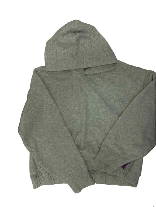 DSG (C) Gray Youth Size 10 Sweatshirt