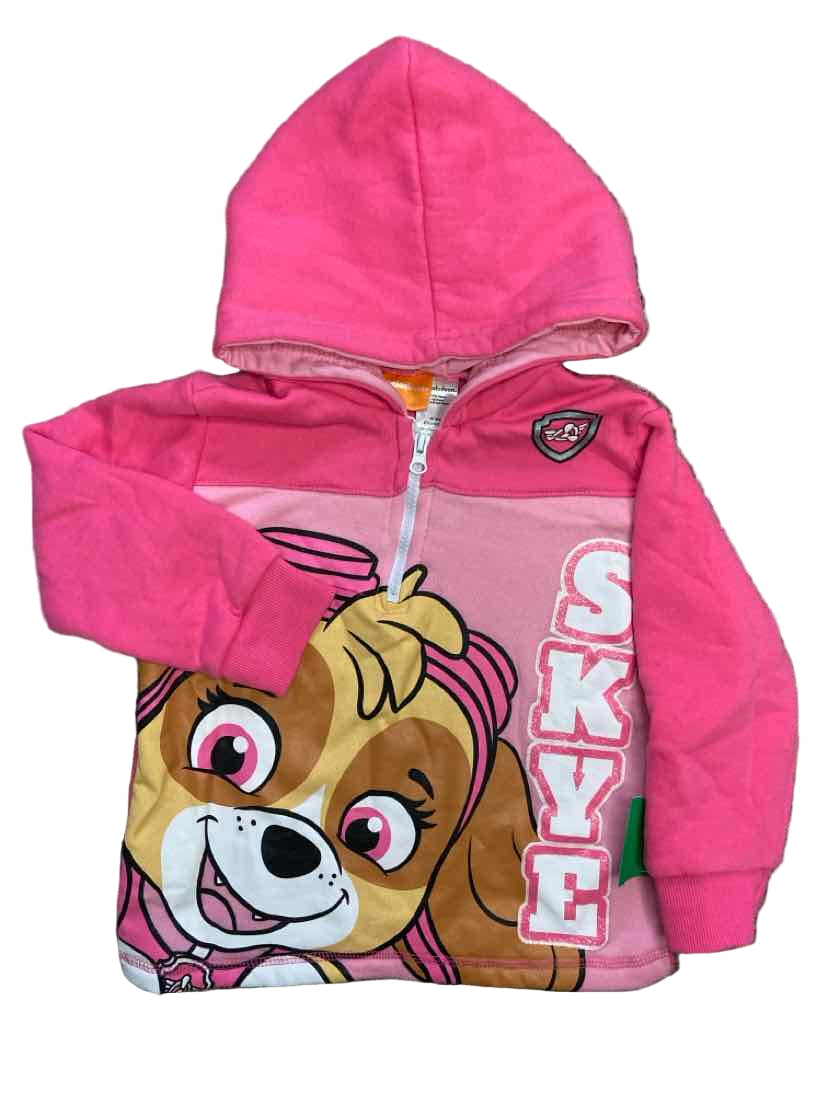 Nickelodeon (C) Pink Youth Size 6 Sweatshirt